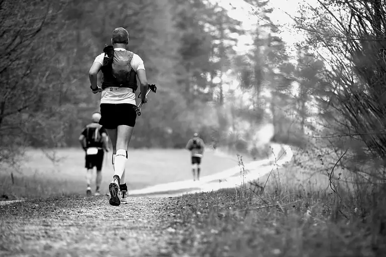 Coureurs de trail sur un sentier en forêt